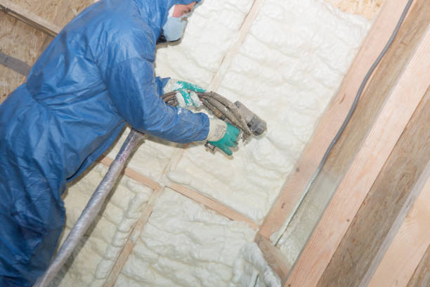 Professional Insulation in Grimes, IA